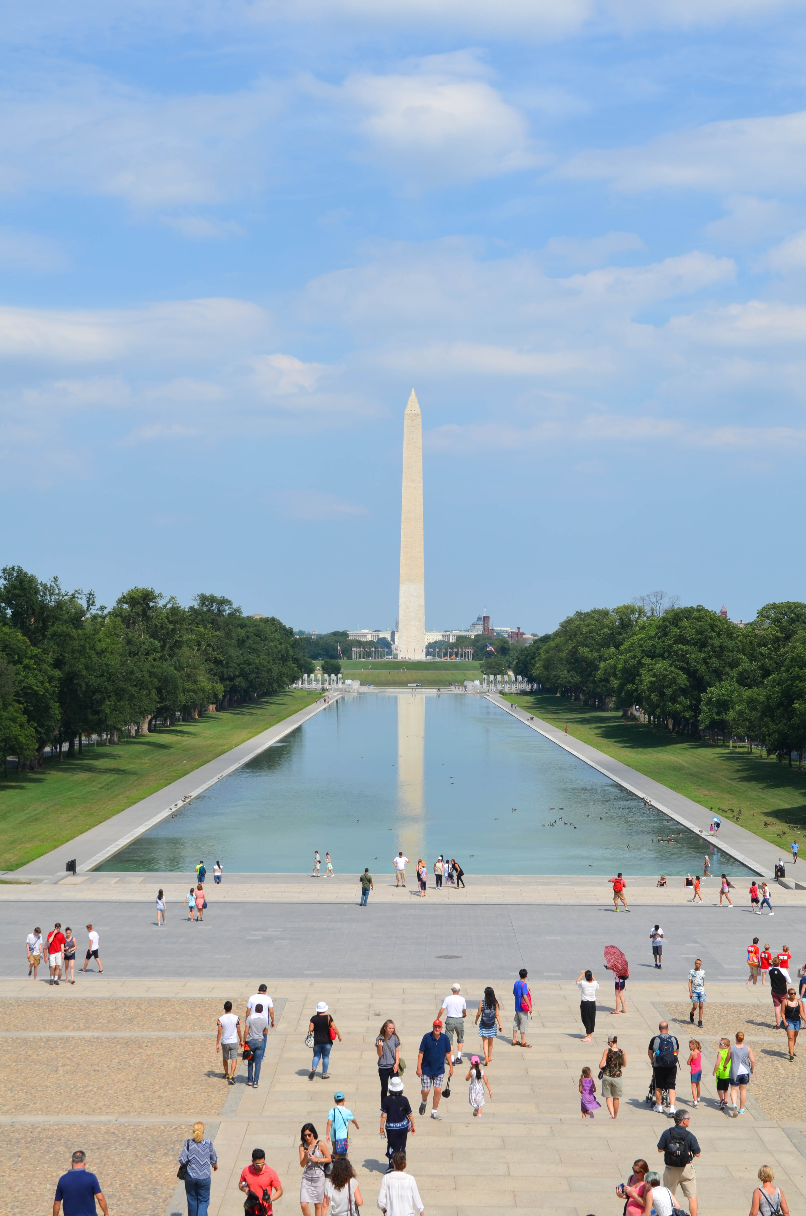 Washington DC header.